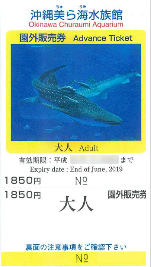 最新 美ら海水族館 チケット大人2枚 ienomat.com.br