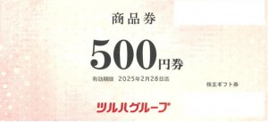 ツルハホールディングス商品券（株主ギフト券・お楽しみギフト券）500円券 2025年2月28日期限